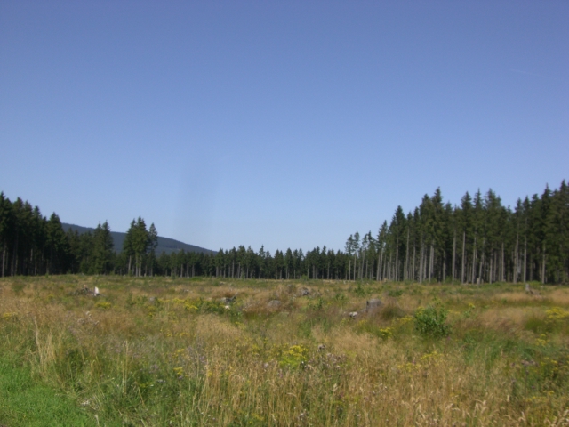 Bad Lauterberg 2009 103